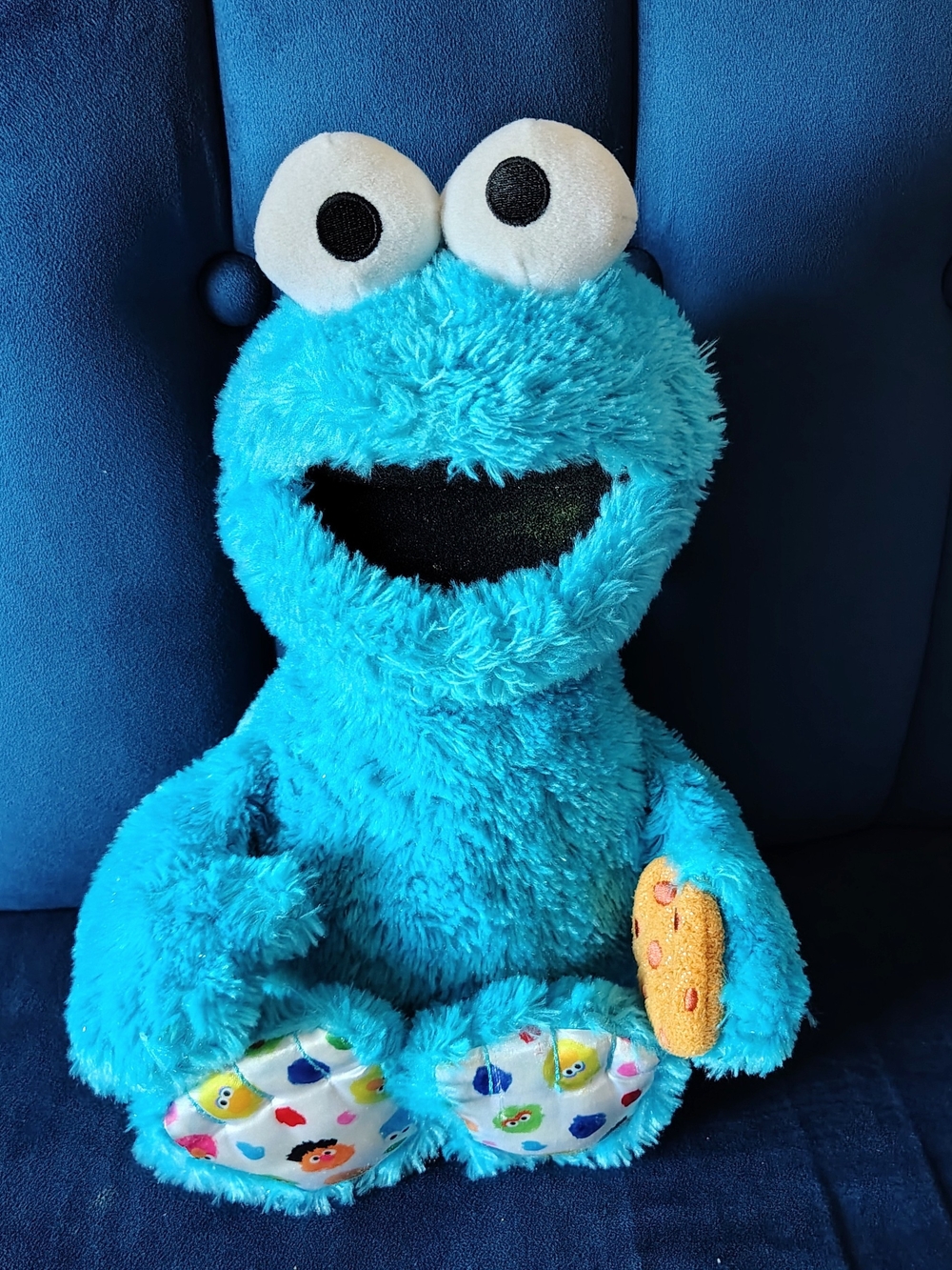Sesame Street Bright Blue Cookie Monster Plush with Cookie Accessory